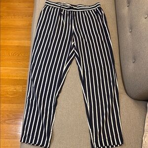 Jcrew Striped Navy Blue and White Pants